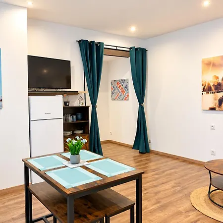 Le Bleuet - Spacieux, Lumineux Et Parking Facile Apartamento Montréjeau